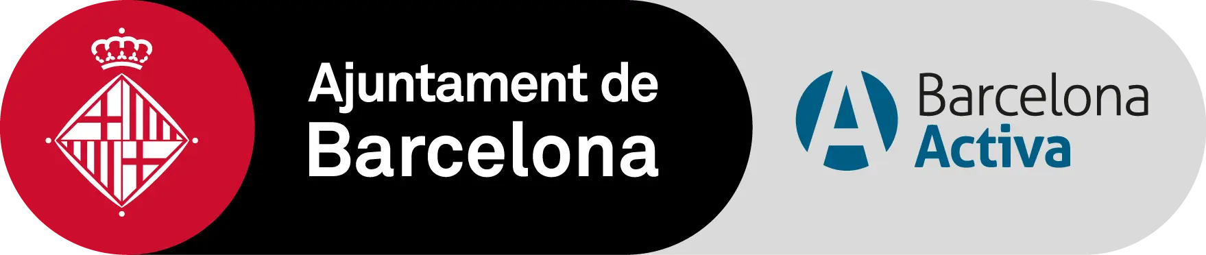 Award 6, Barcelona City Council